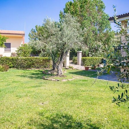 Il Giardino Degli Ulivi Bed and Breakfast Santa Maria Exteriör bild